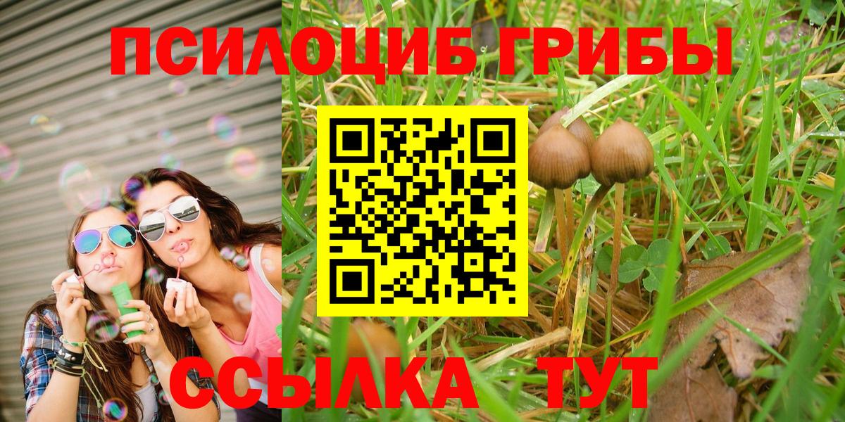 Псилоцибиновые грибы прущие грибы Рыбинск