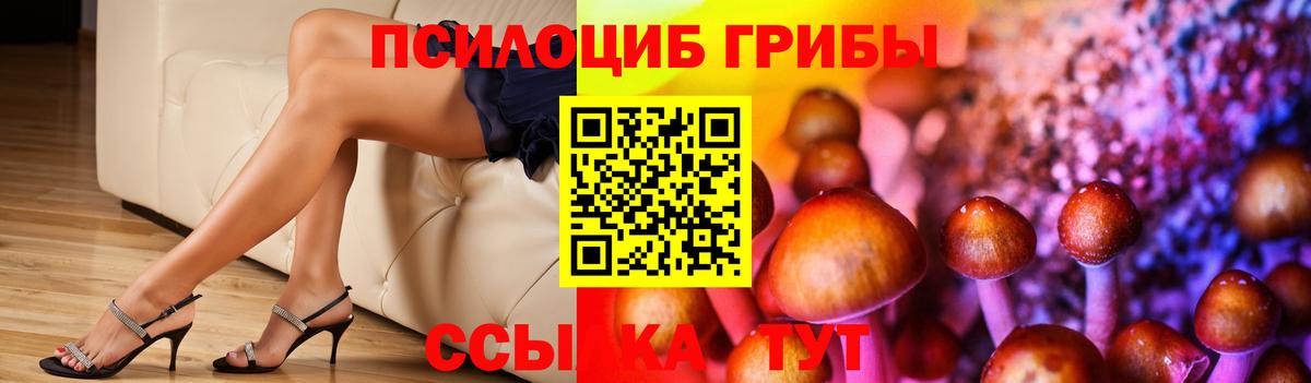 Галлюциногенные грибы Psilocybe  Псилоцибиновые грибы мицелий  Рыбинск  Вход с VPN 